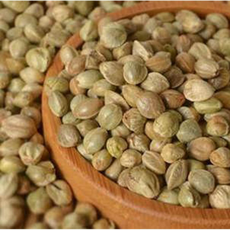 紫蘇子(萃取液)